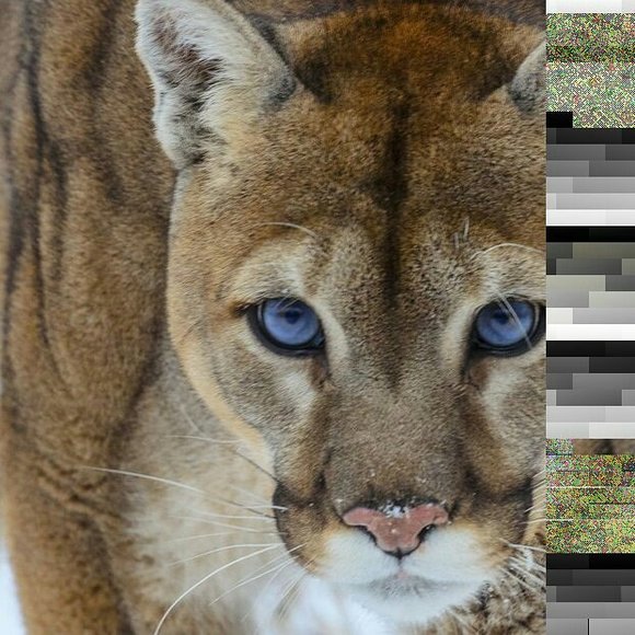 cougargoyle
